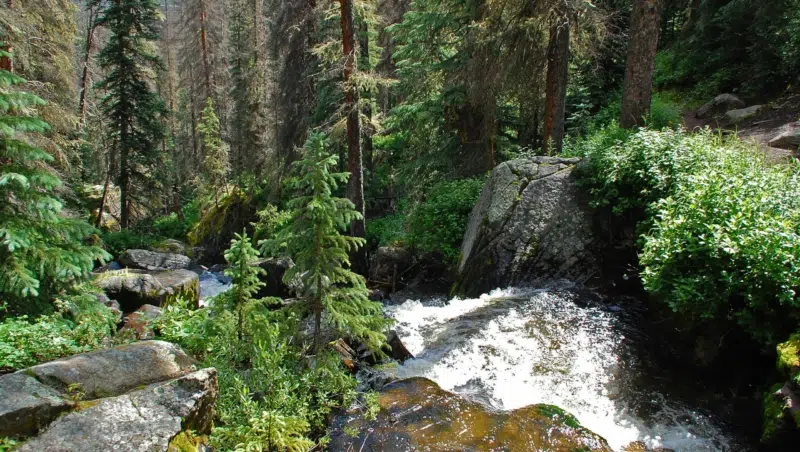 Fluß in den Rocky Mountains