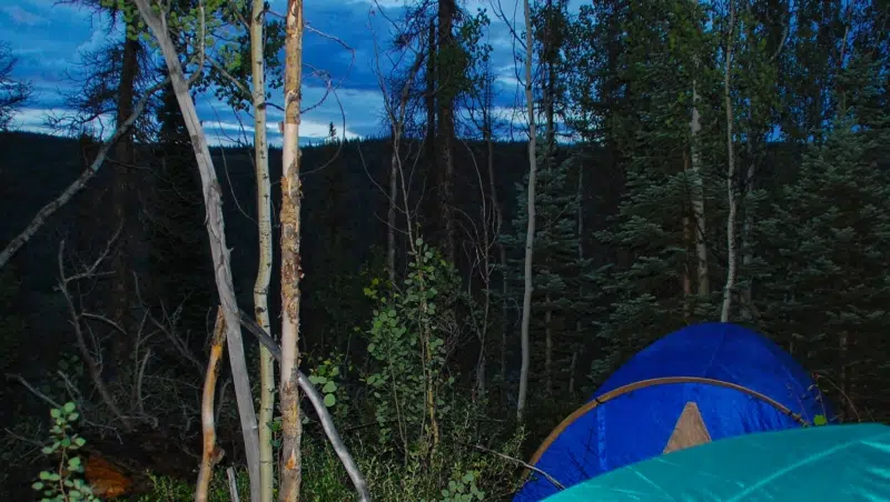 Zelt im Wald der Rocky Mountains