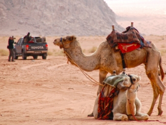 Selber Autofahren im Urlaub in Jordanien: Tipps für den Roadtrip!