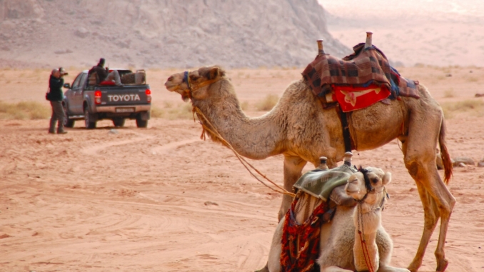 Autofahren in Jordanien