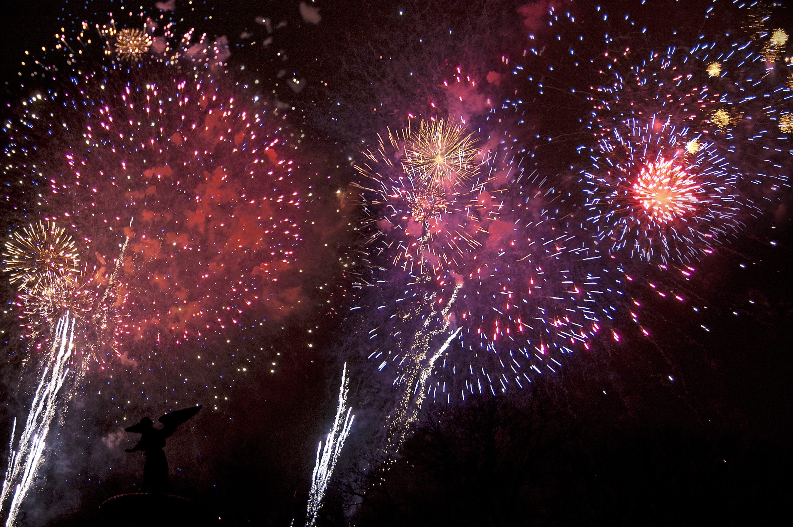 Silvester in New York / Feuerwerk Central Park