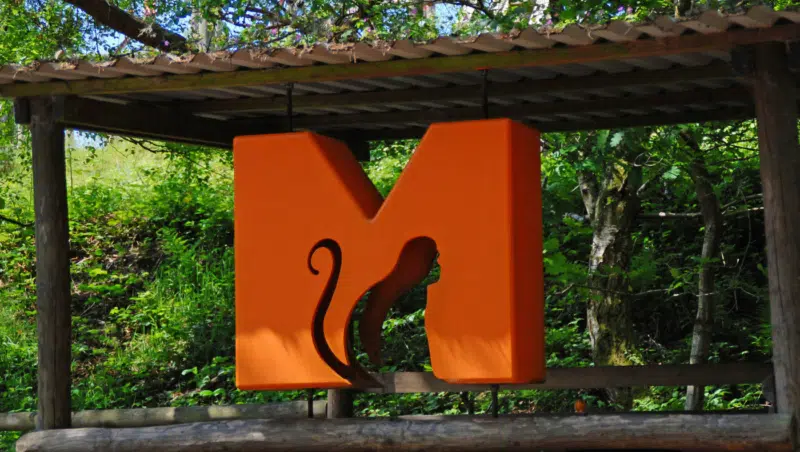 Logo Monkey World