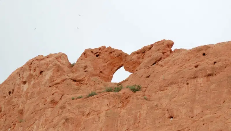 Kissing Camels im Garden of Gods