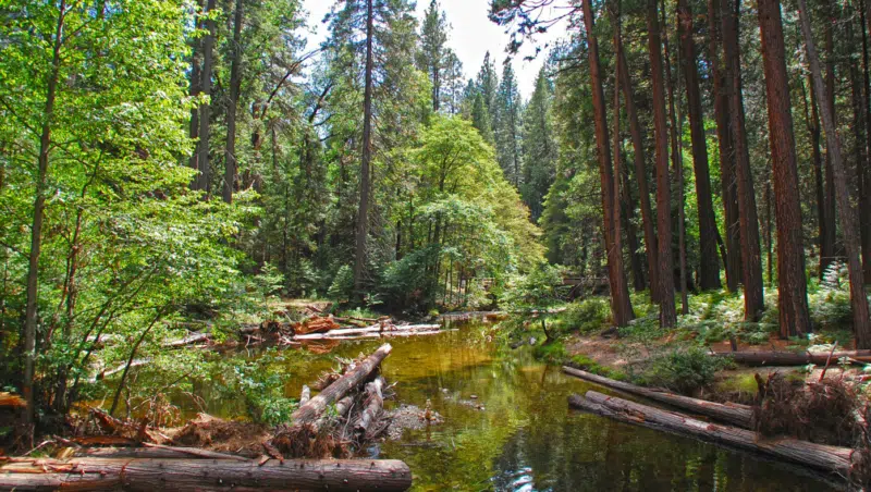Es lohnt sich auf Wanderung im Yosemite NP zu gehen. Abseits der Hauptstraßen findet man noch viel Ruhe und einsame Natur vor.