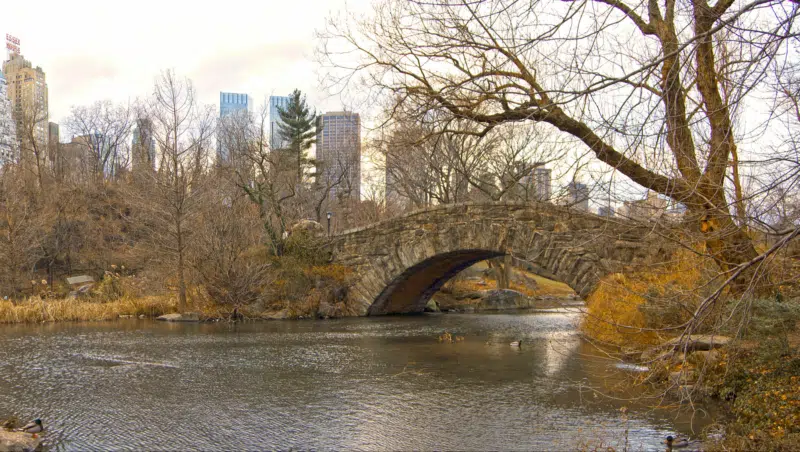Gapstow Bridge im Central Park