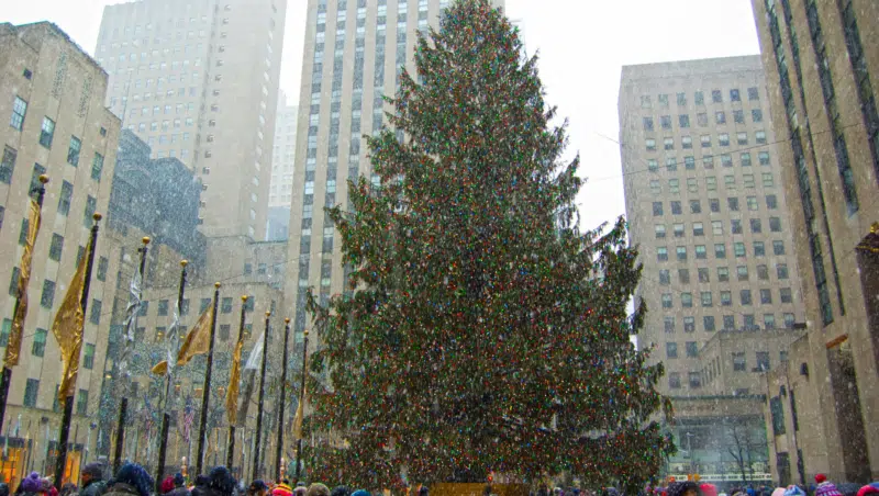 Weihnachtsbaum New York City
