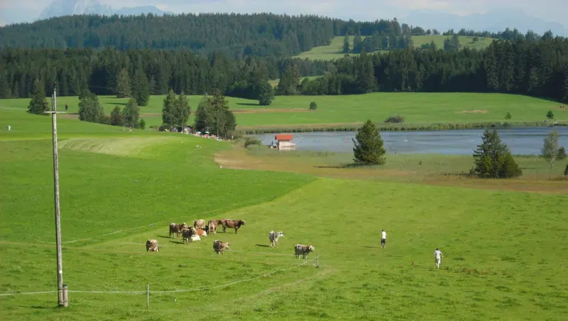 Attlesee Nesselwang
