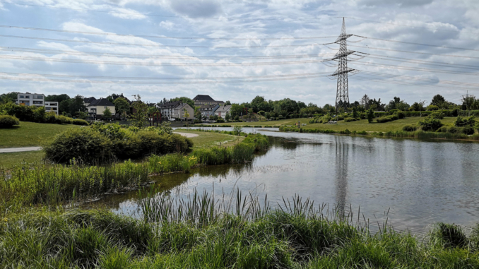 Niederfeldsee in Essen-Altendorf