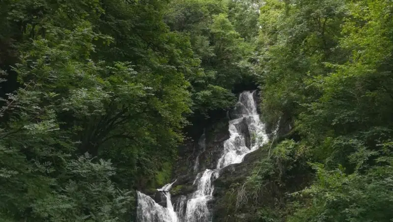 Torc Wasserfall in Irland