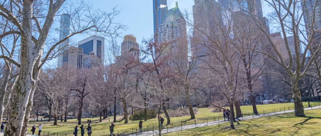 Central Park in New York City