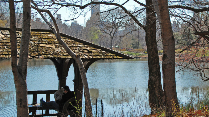Entspannen im Central Park