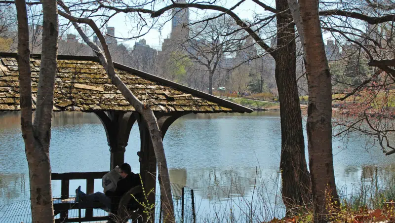 Entspannen im Central Park