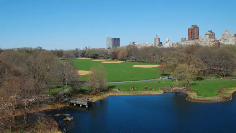 The Great Lawn: Die größte Wiese im Central Park