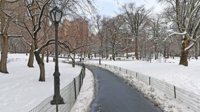 Schnee im Central Park