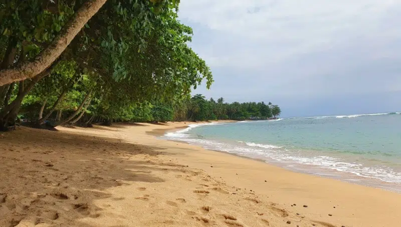 Fernreise: São Tomé und Príncipe
