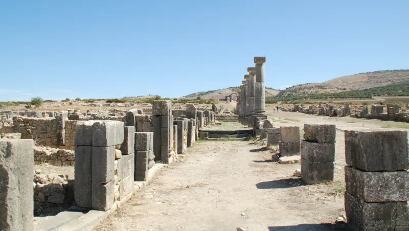 Prachtallee in Volubilis