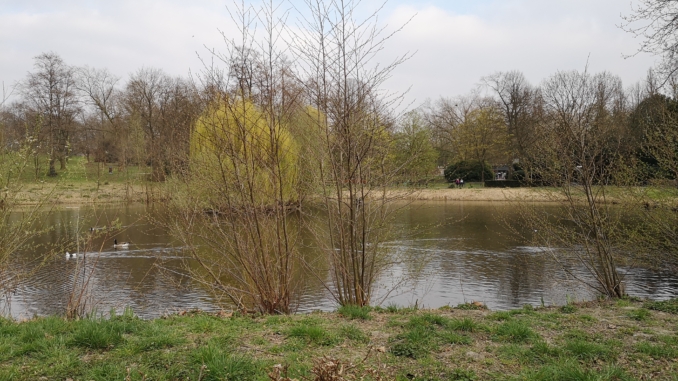 Volksgarten in Essen-Leithe