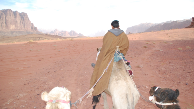 Bedouine auf Kamel