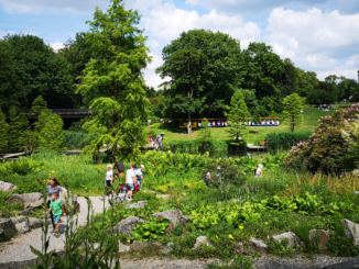 Grugapark: Der schönste Park in der Stadt Essen