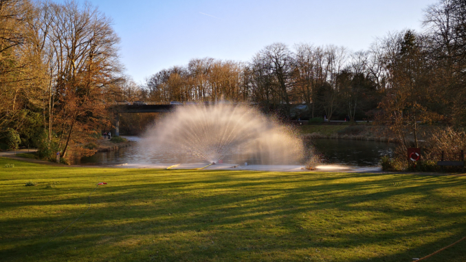 See im Grugapark in Essen