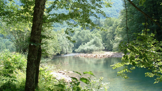 Fluss Kupa