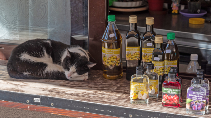 Katze in der Stari Bar