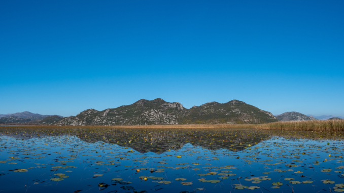 Skutarisee in Montenegro