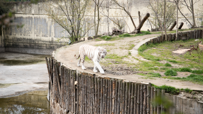 Zoo Sofia