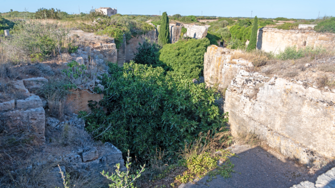 Grünes Lithica